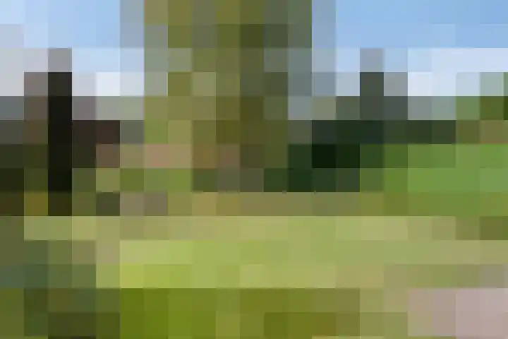 Veenkampenweg 22 Emmen thumbnail 38