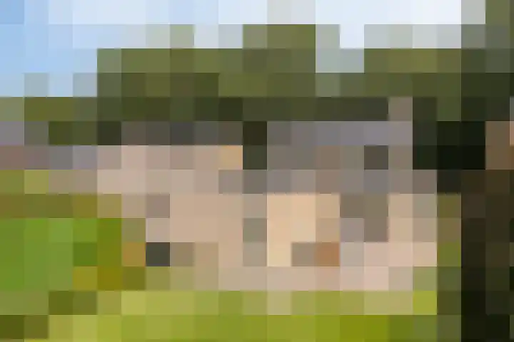 Veenkampenweg 22 Emmen thumbnail 39