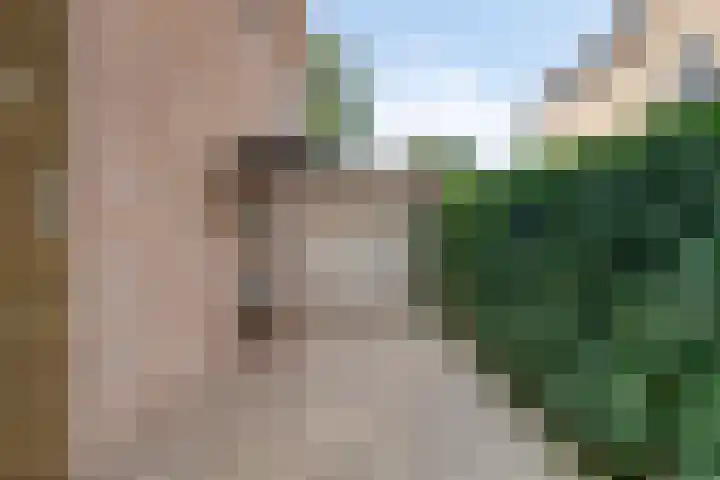 Veenkampenweg 22 Emmen thumbnail 41