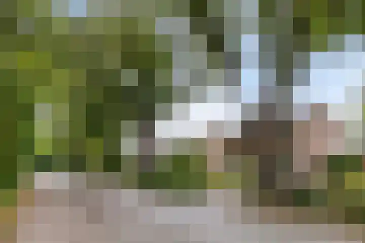 Veenkampenweg 22 Emmen thumbnail 44