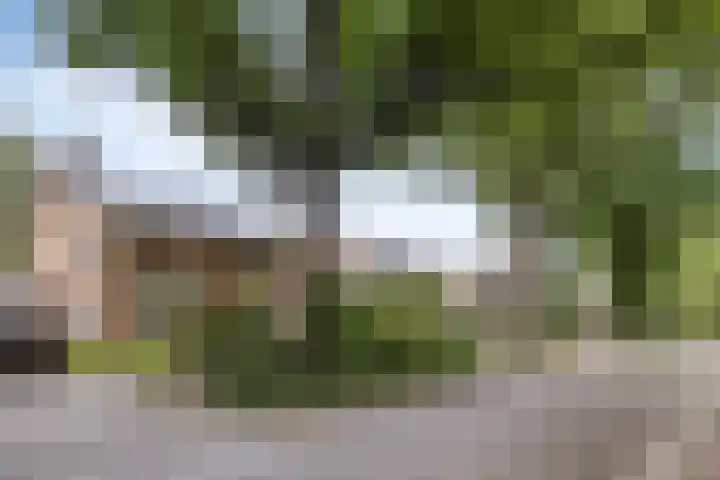 Veenkampenweg 22 Emmen thumbnail 45