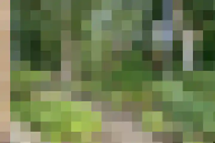 Veenkampenweg 22 Emmen thumbnail 46