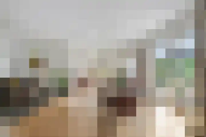 Veenkampenweg 22 Emmen thumbnail 9