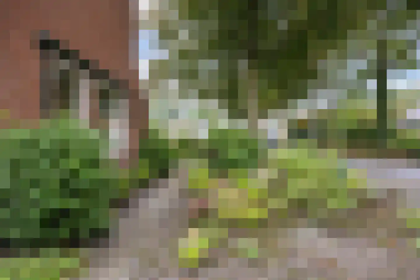 Veenlaan 1 Slochteren thumbnail 12