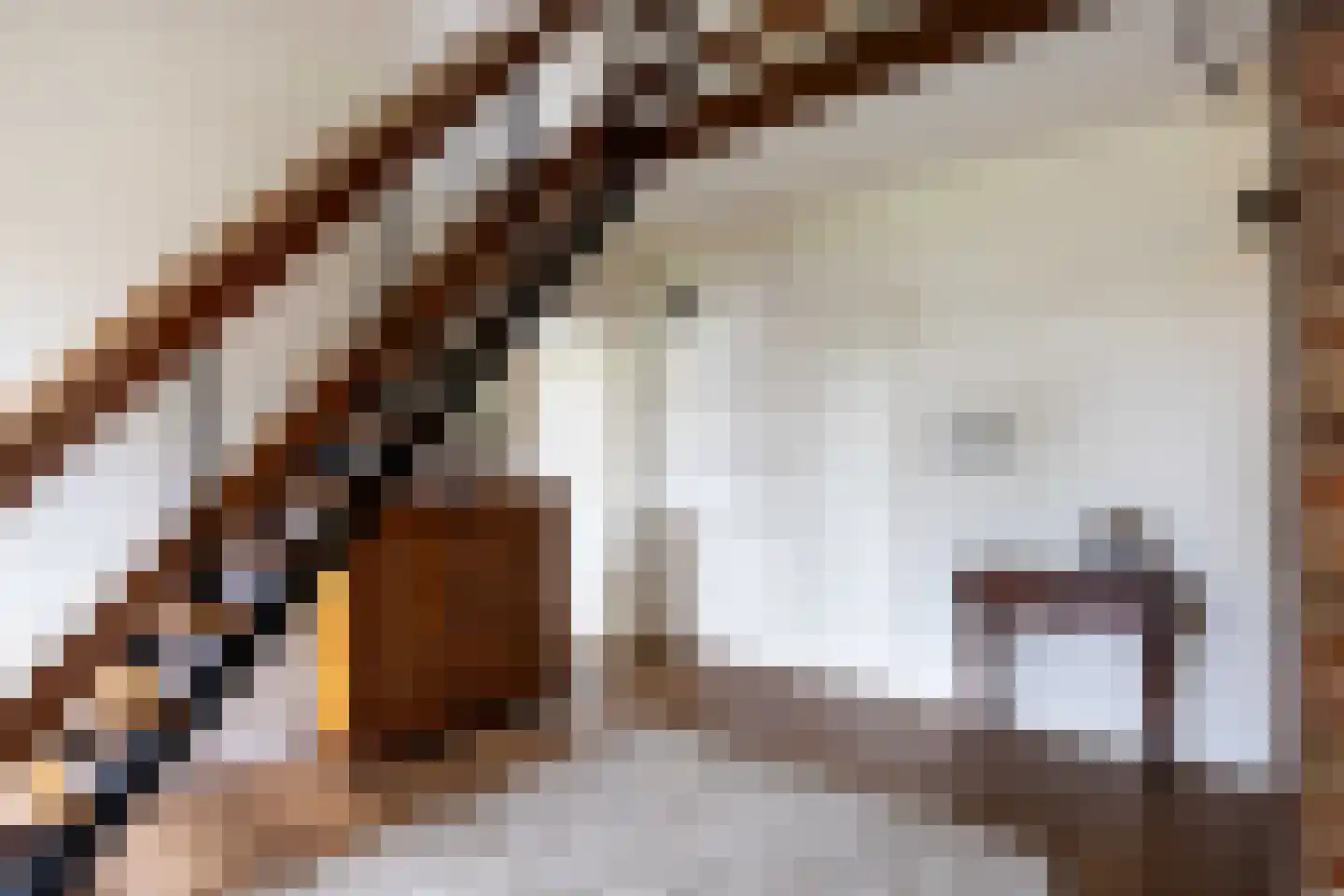 Veenlaan 1 Slochteren thumbnail 17