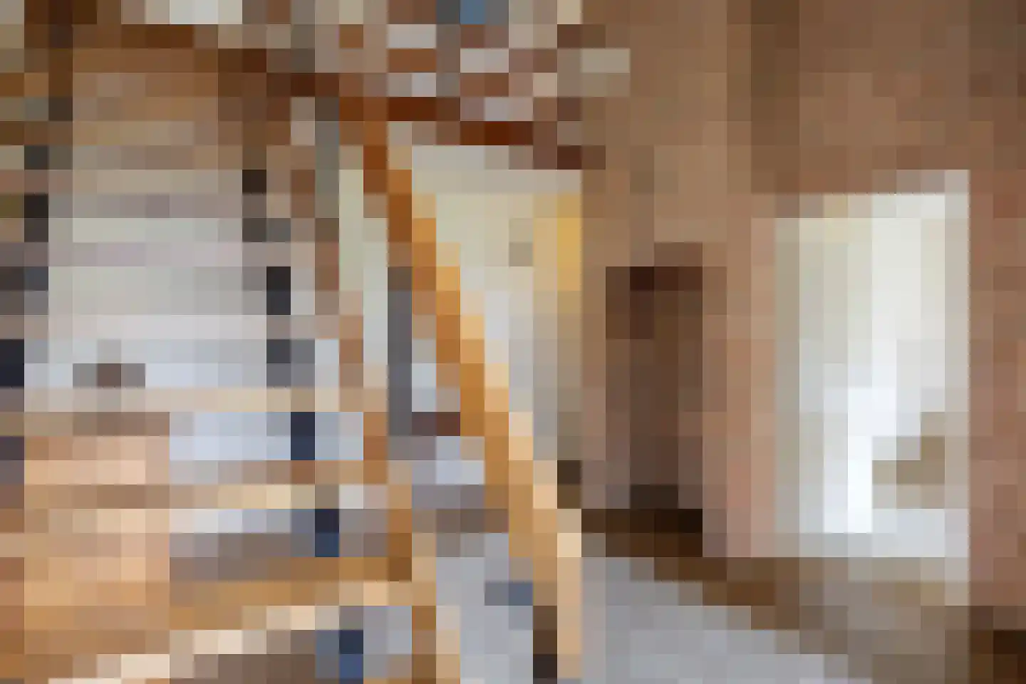 Veenlaan 1 Slochteren thumbnail 18