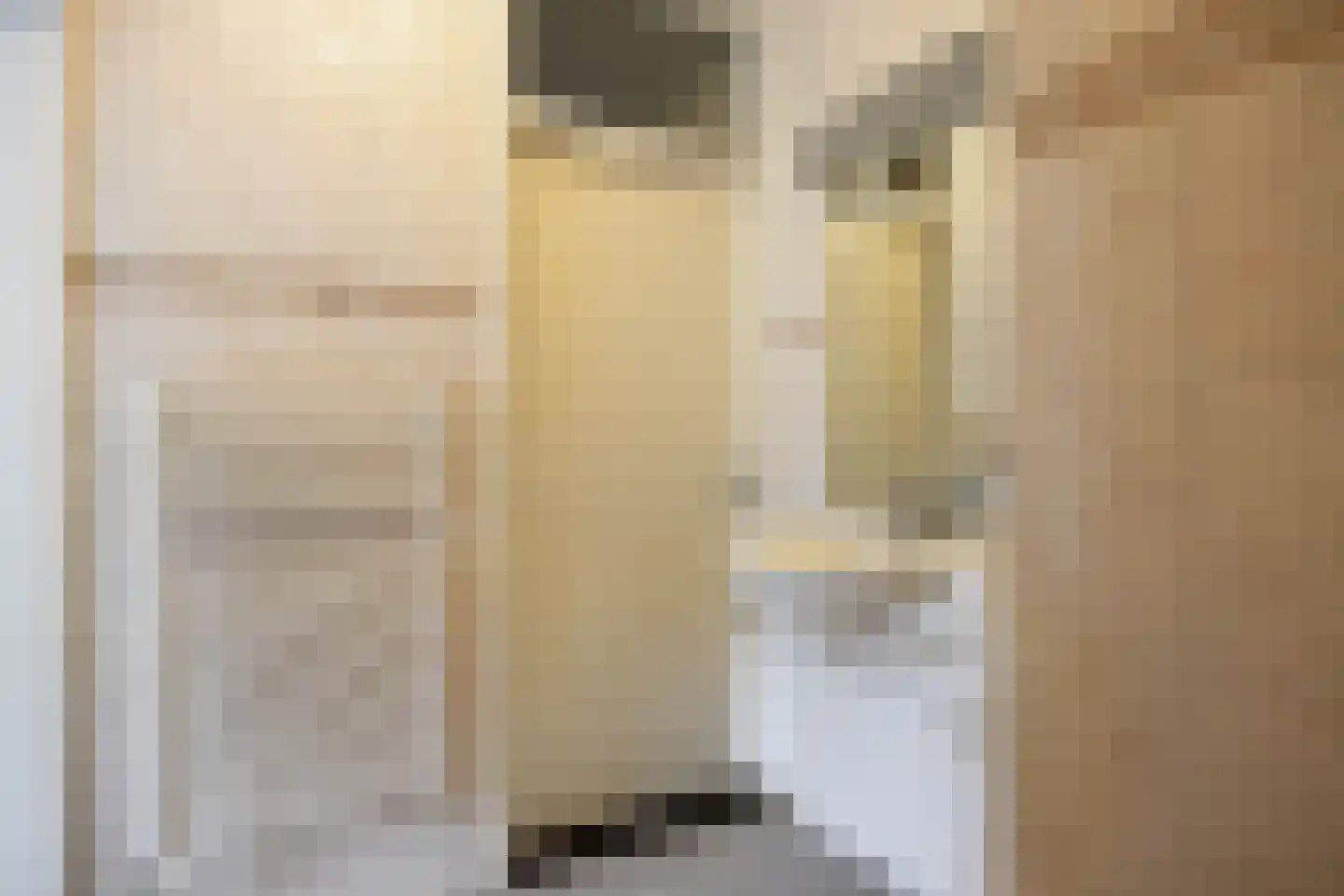 Veenlaan 1 Slochteren thumbnail 26