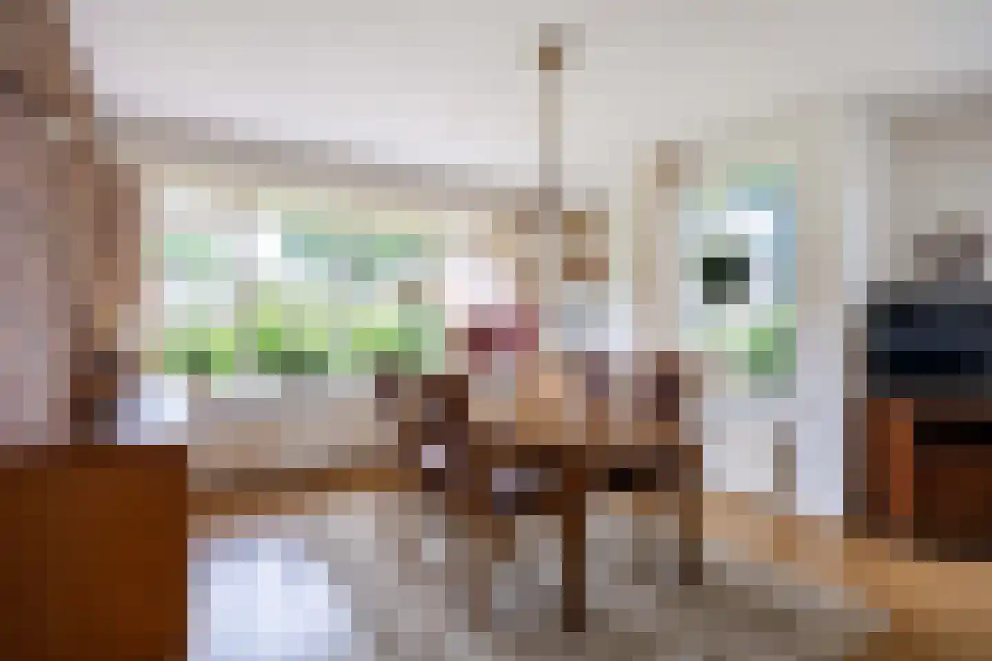 Veenlaan 1 Slochteren thumbnail 33