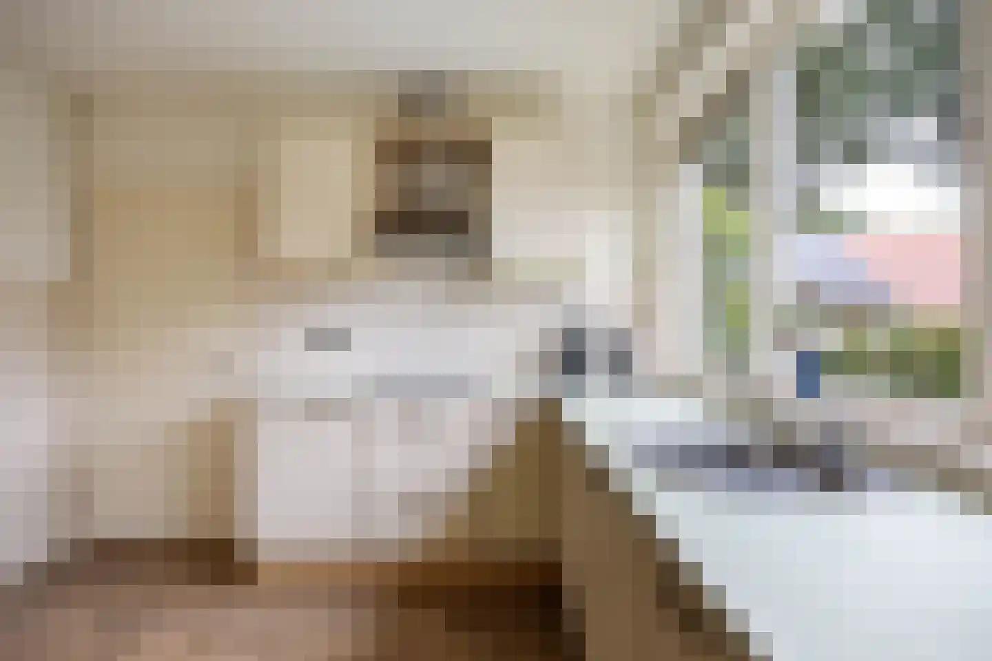 Veenlaan 1 Slochteren thumbnail 40