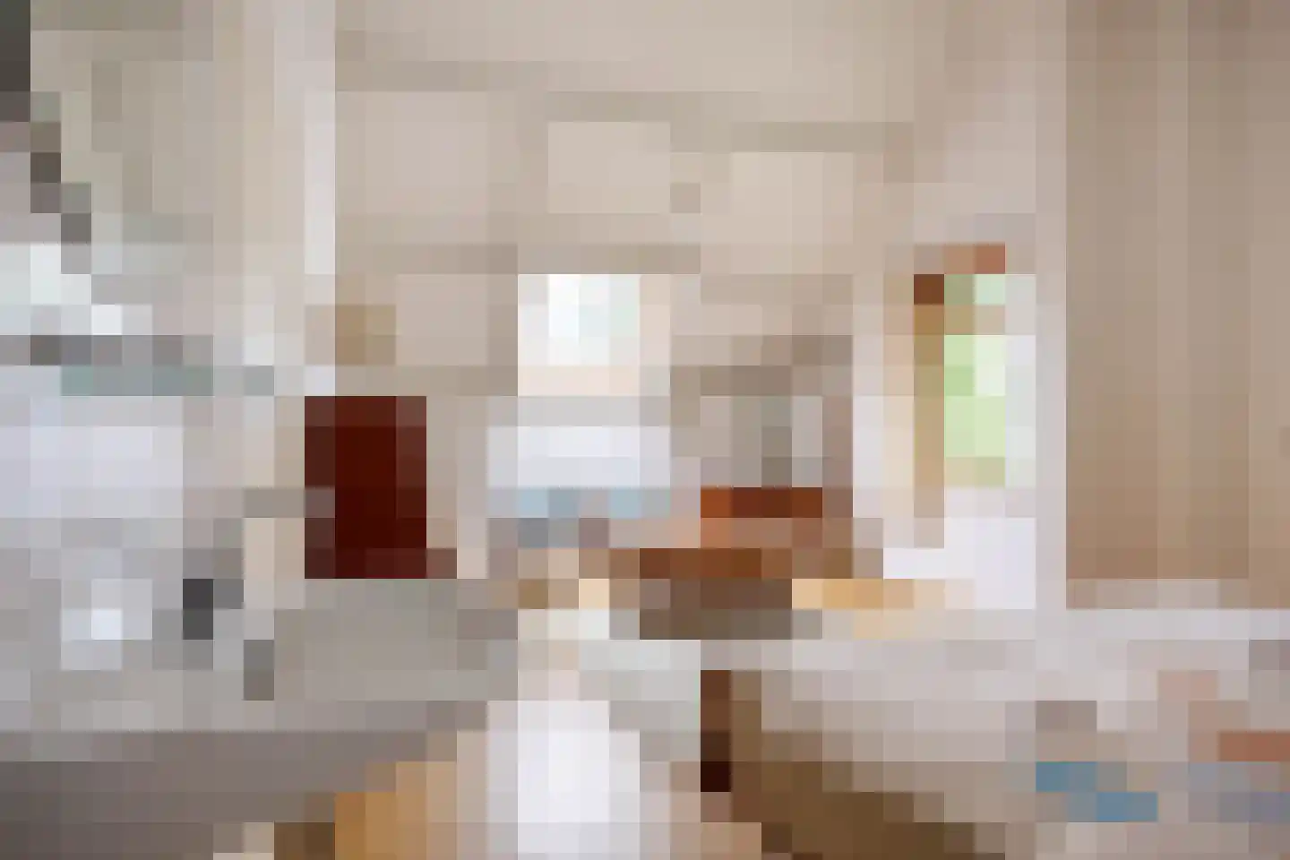 Veenlaan 1 Slochteren thumbnail 57