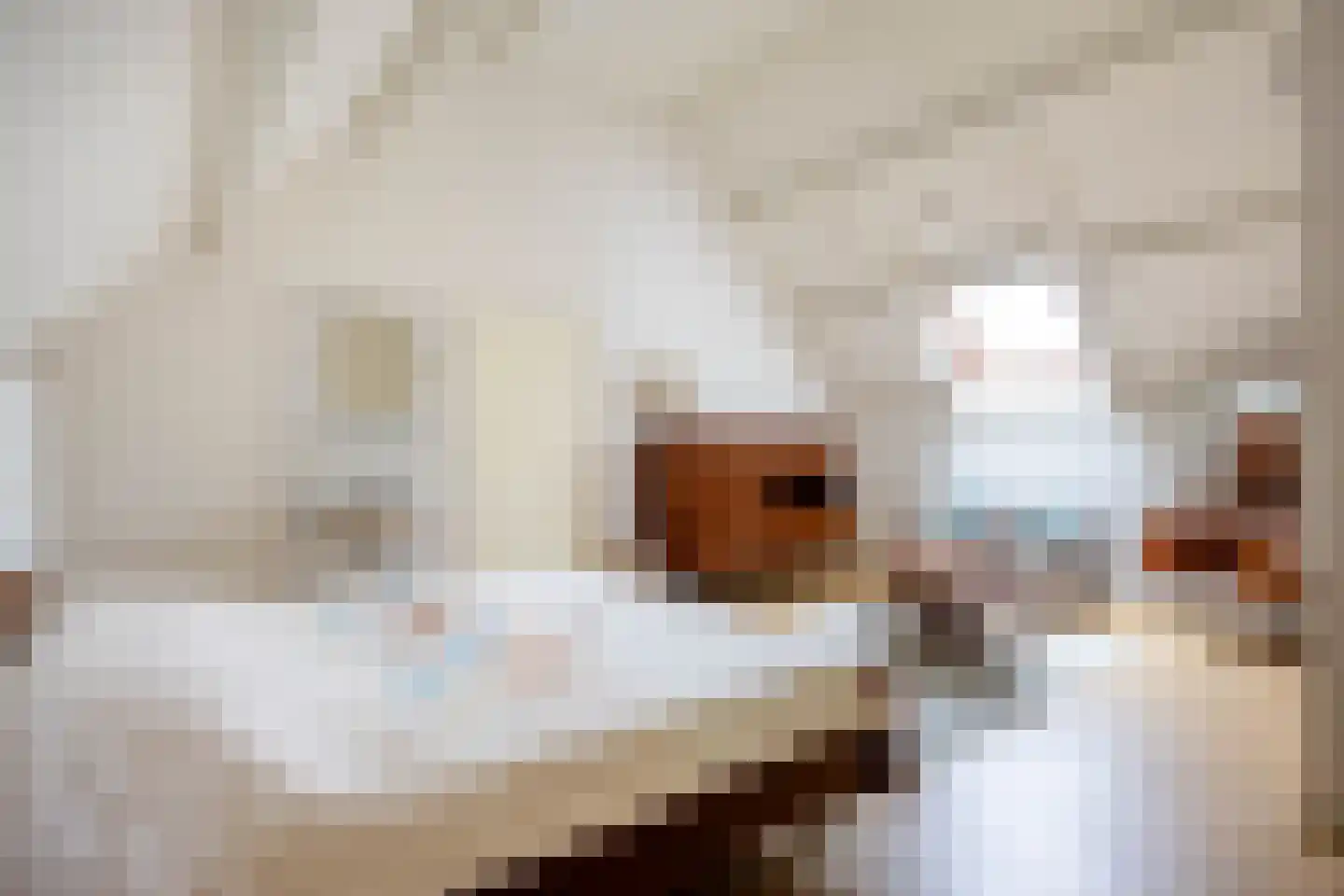 Veenlaan 1 Slochteren thumbnail 60