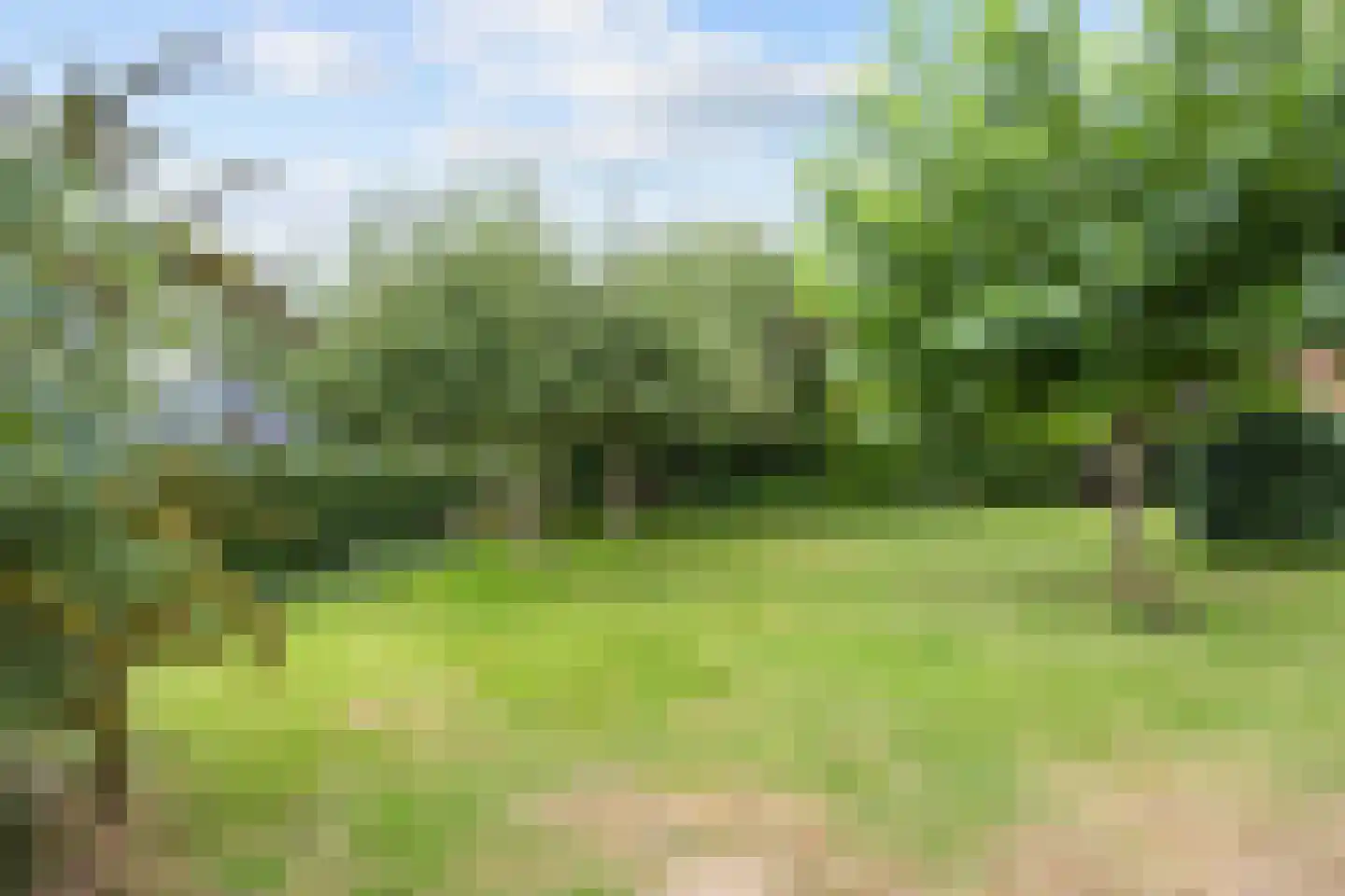 Veenlaan 1 Slochteren thumbnail 68