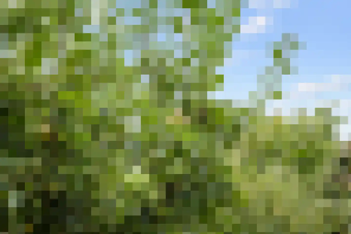 Veenlaan 1 Slochteren thumbnail 69