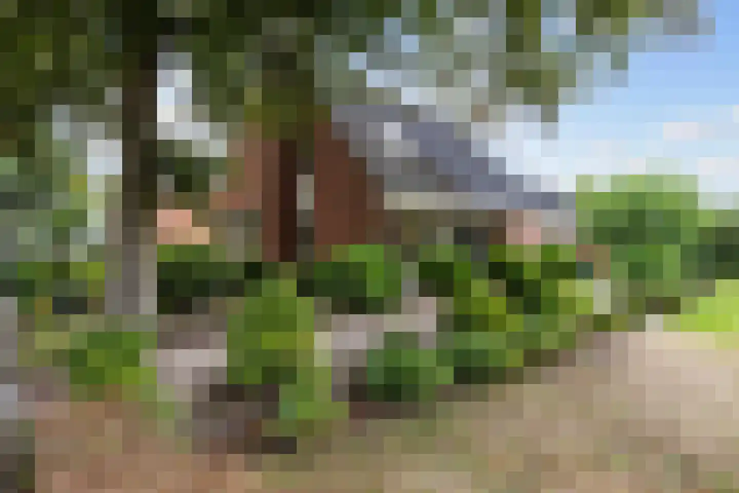 Veenlaan 1 Slochteren thumbnail 7