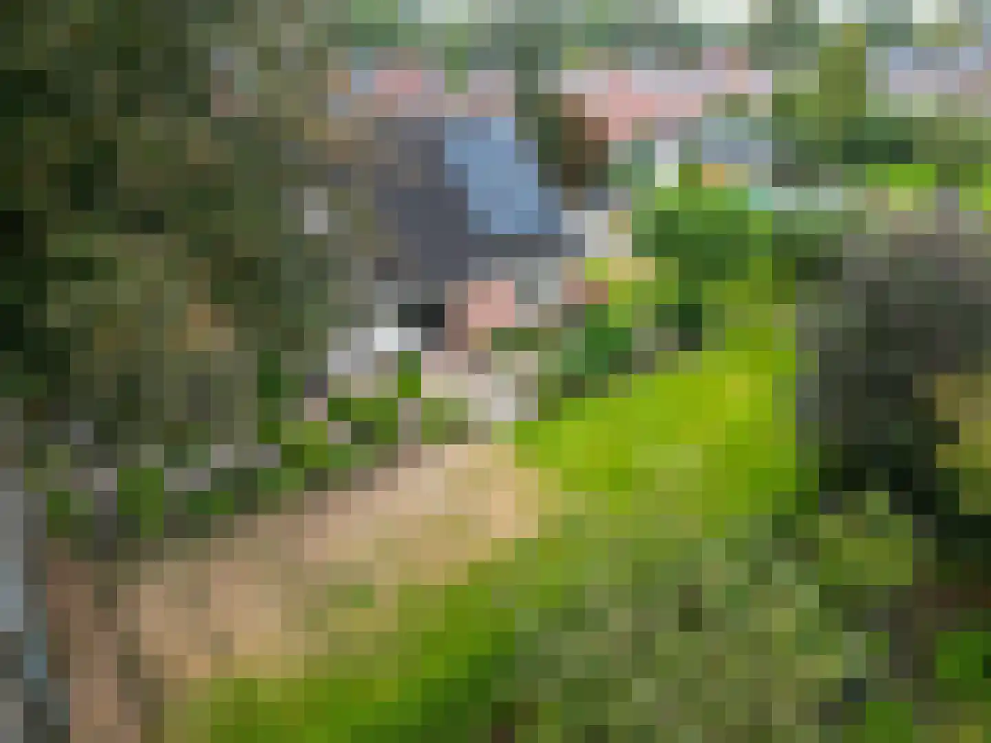 Veenlaan 1 Slochteren thumbnail 78