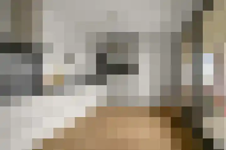 Veenland 15 Assendelft thumbnail 11