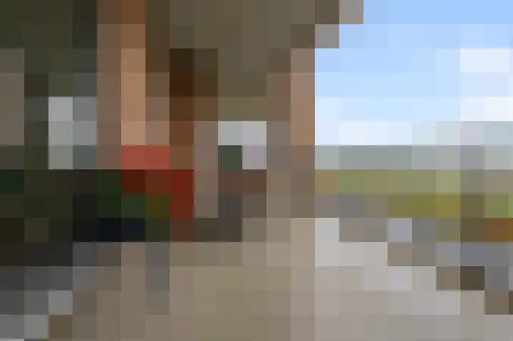 Veenland 15 Assendelft thumbnail 12