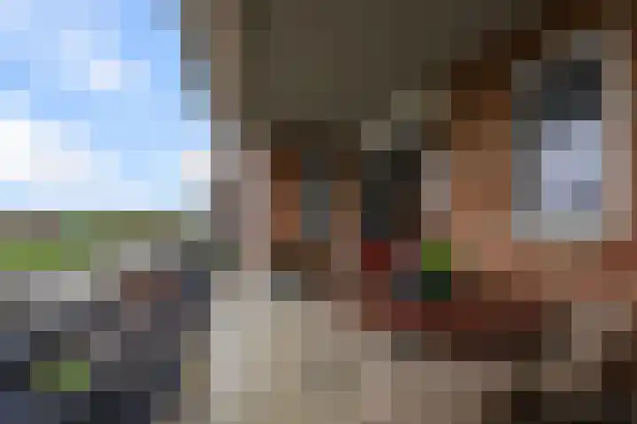Veenland 15 Assendelft thumbnail 14