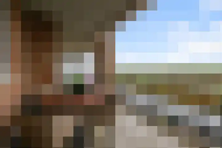 Veenland 15 Assendelft thumbnail 15