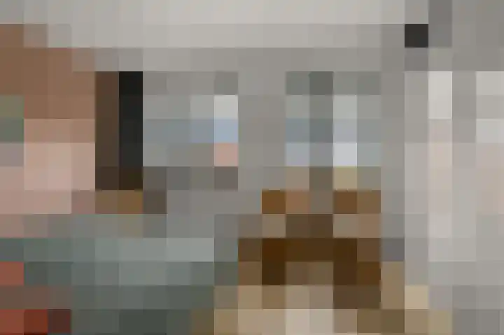 Veenland 15 Assendelft thumbnail 16