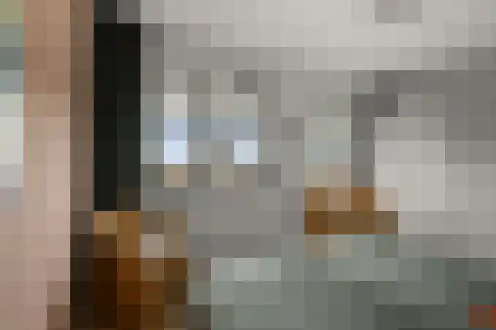 Veenland 15 Assendelft thumbnail 17