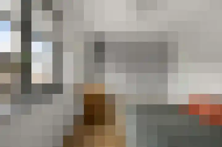 Veenland 15 Assendelft thumbnail 18