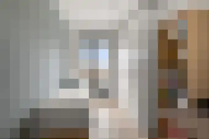Veenland 15 Assendelft thumbnail 20