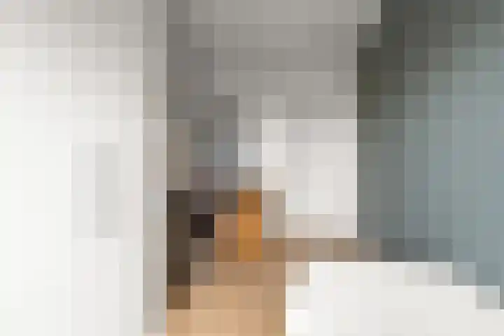 Veenland 15 Assendelft thumbnail 21