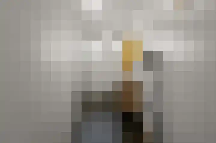 Veenland 15 Assendelft thumbnail 22