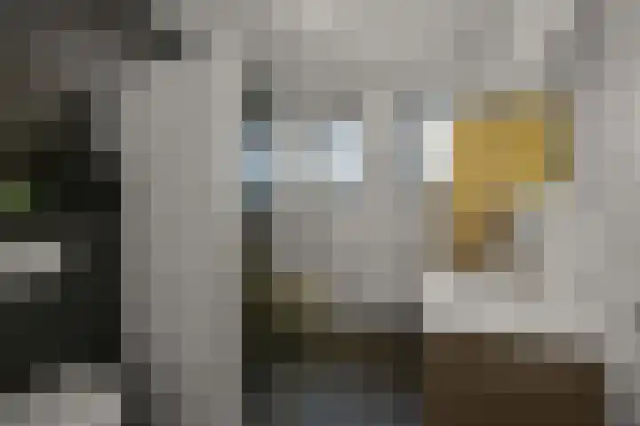 Veenland 15 Assendelft thumbnail 23