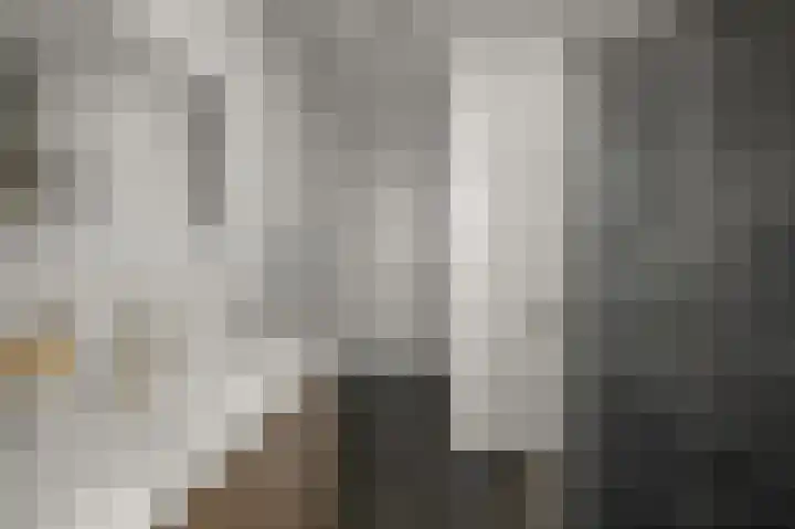 Veenland 15 Assendelft thumbnail 24