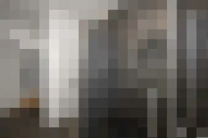 Veenland 15 Assendelft thumbnail 25