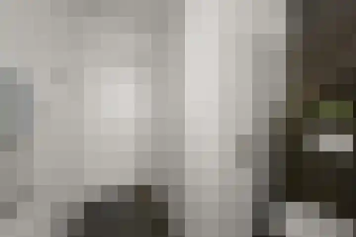 Veenland 15 Assendelft thumbnail 26