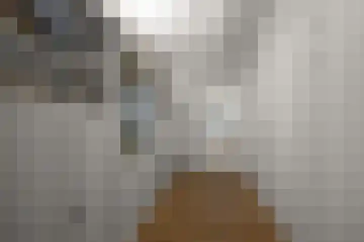 Veenland 15 Assendelft thumbnail 27