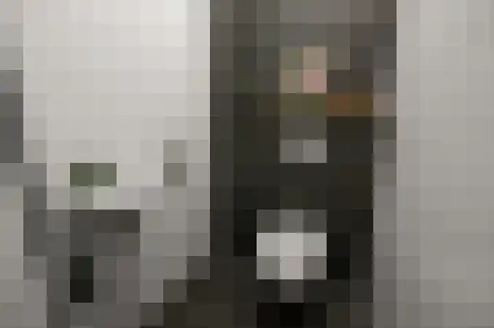 Veenland 15 Assendelft thumbnail 28
