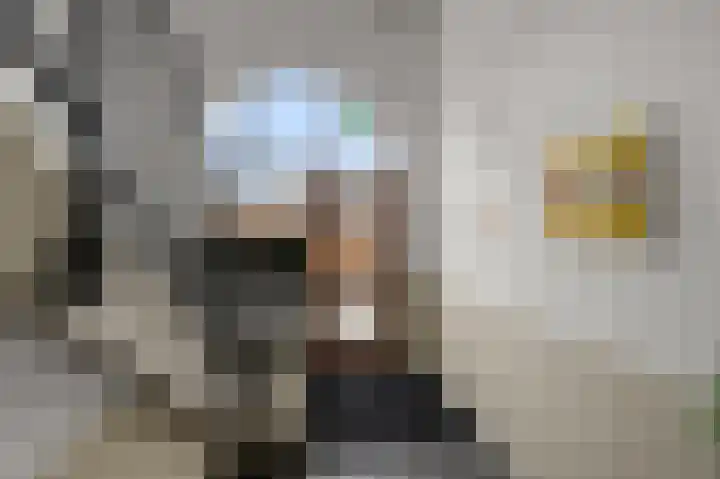 Veenland 15 Assendelft thumbnail 30