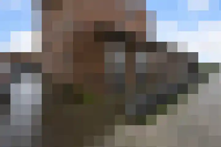 Veenland 15 Assendelft thumbnail 31