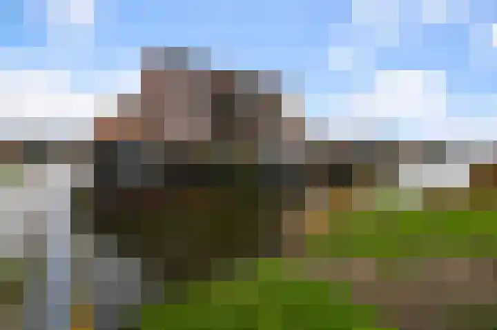 Veenland 15 Assendelft thumbnail 32