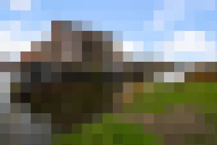 Veenland 15 Assendelft thumbnail 33