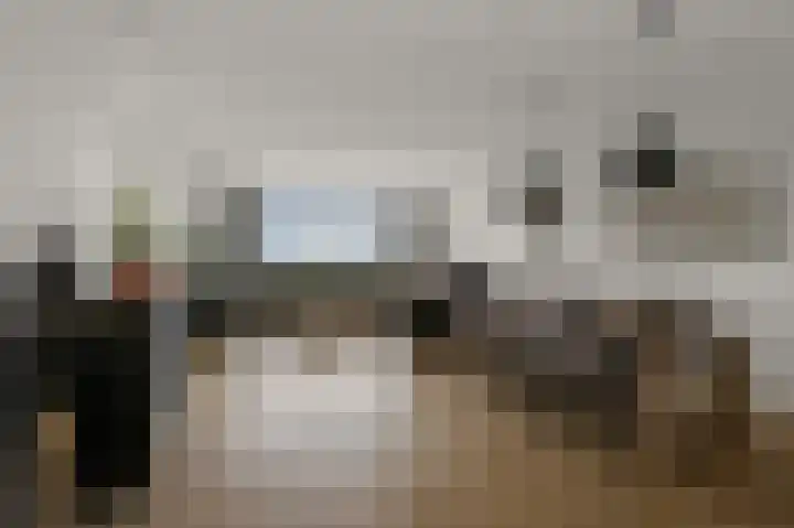 Veenland 15 Assendelft thumbnail 5