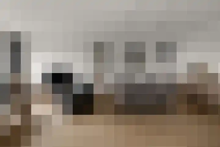 Veenland 15 Assendelft thumbnail 7