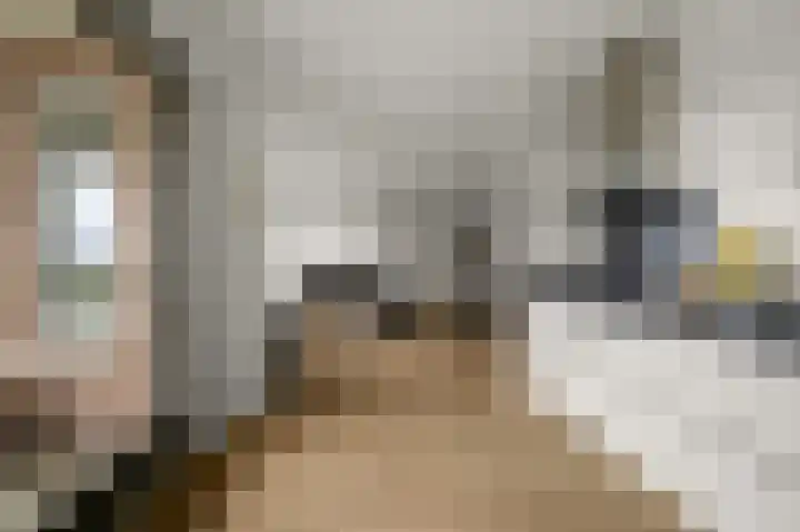 Veenland 15 Assendelft thumbnail 9