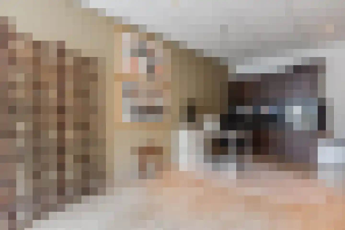 Veenland 3 Assendelft thumbnail 13