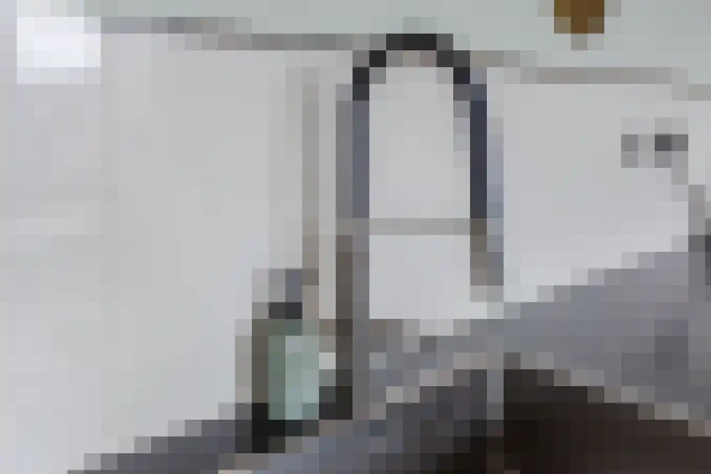 Veenland 3 Assendelft thumbnail 18