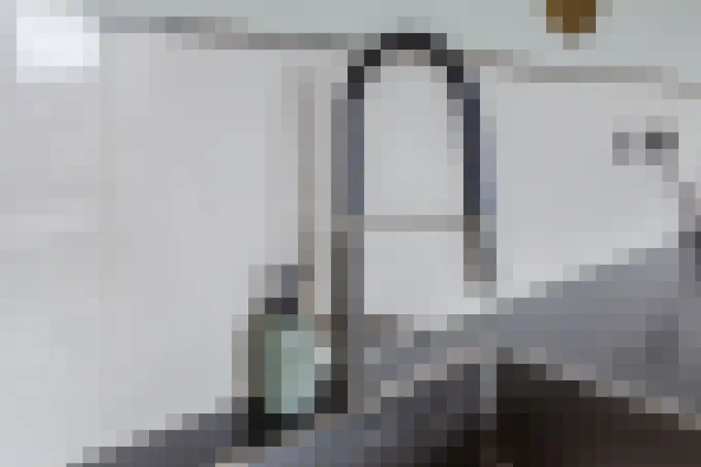 Veenland 3 Assendelft thumbnail 18