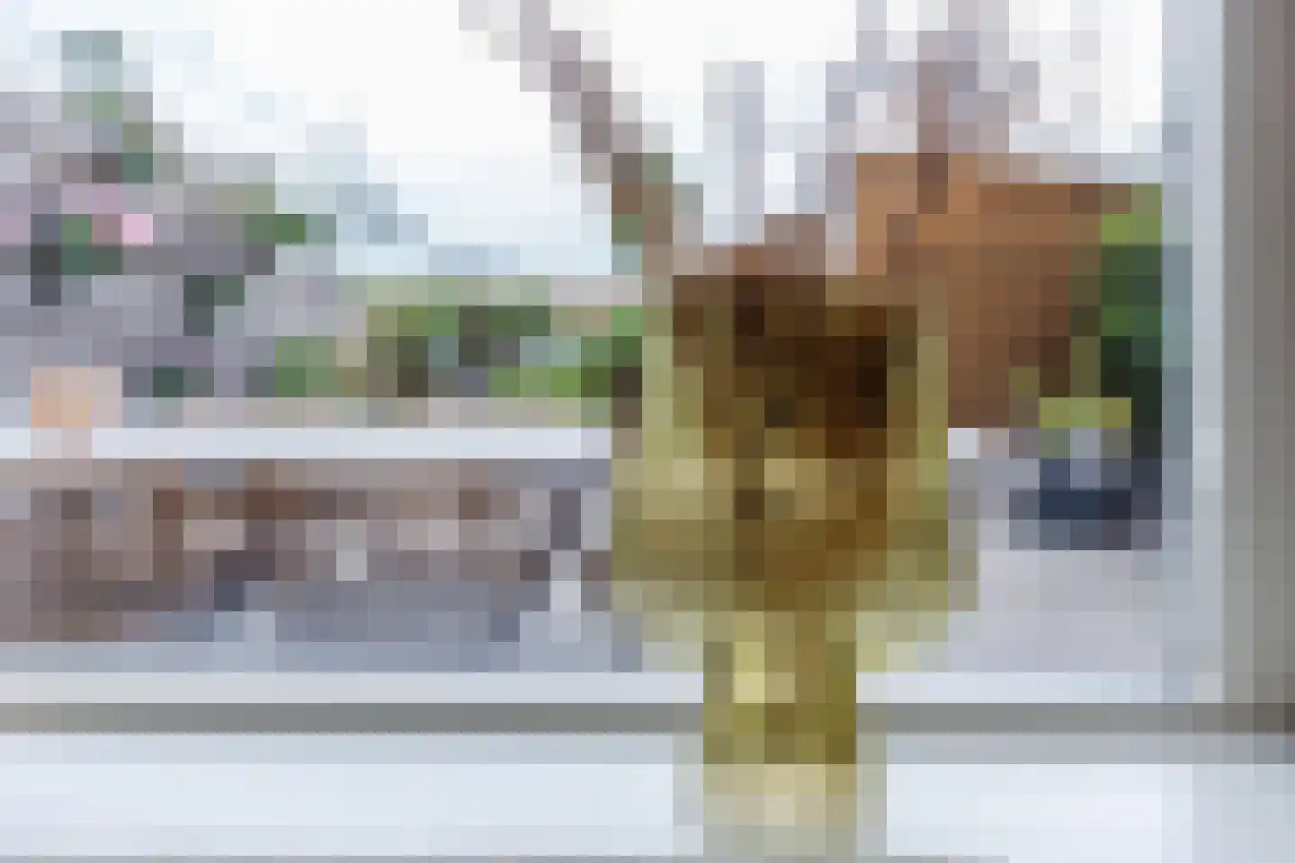 Veenland 3 Assendelft thumbnail 19