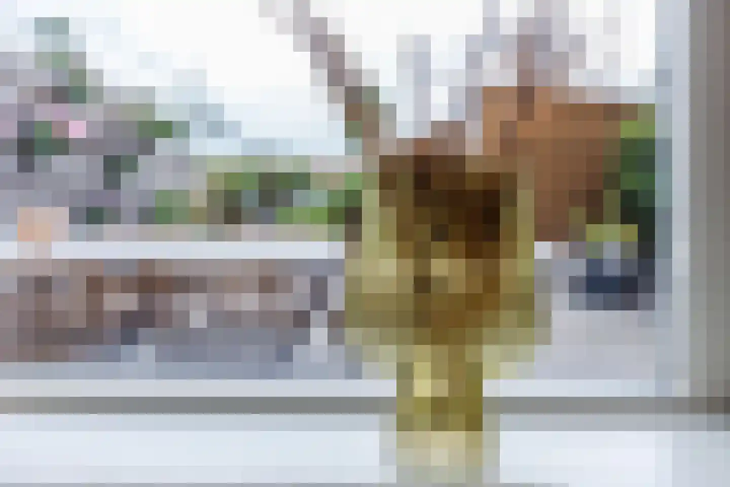 Veenland 3 Assendelft thumbnail 19