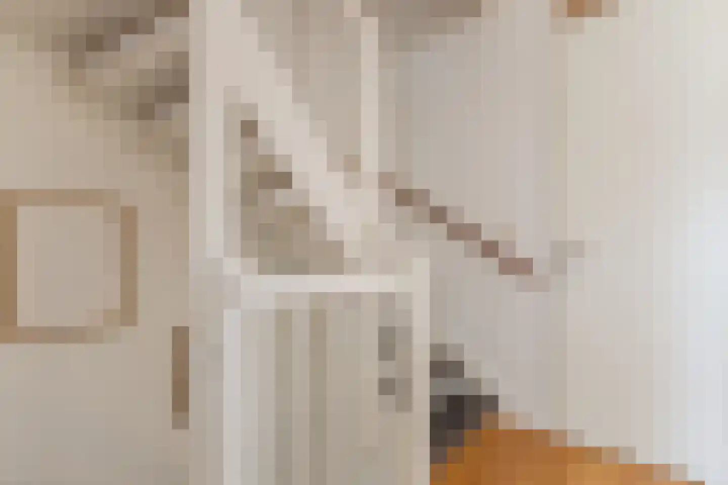 Veenland 3 Assendelft thumbnail 21