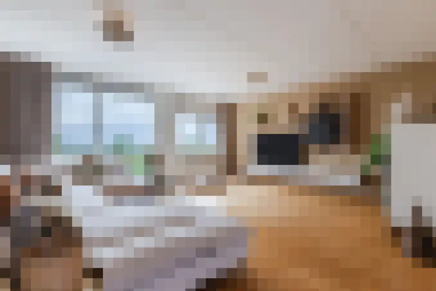 Veenland 3 Assendelft thumbnail 25
