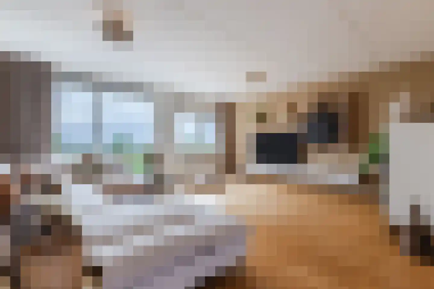 Veenland 3 Assendelft thumbnail 25